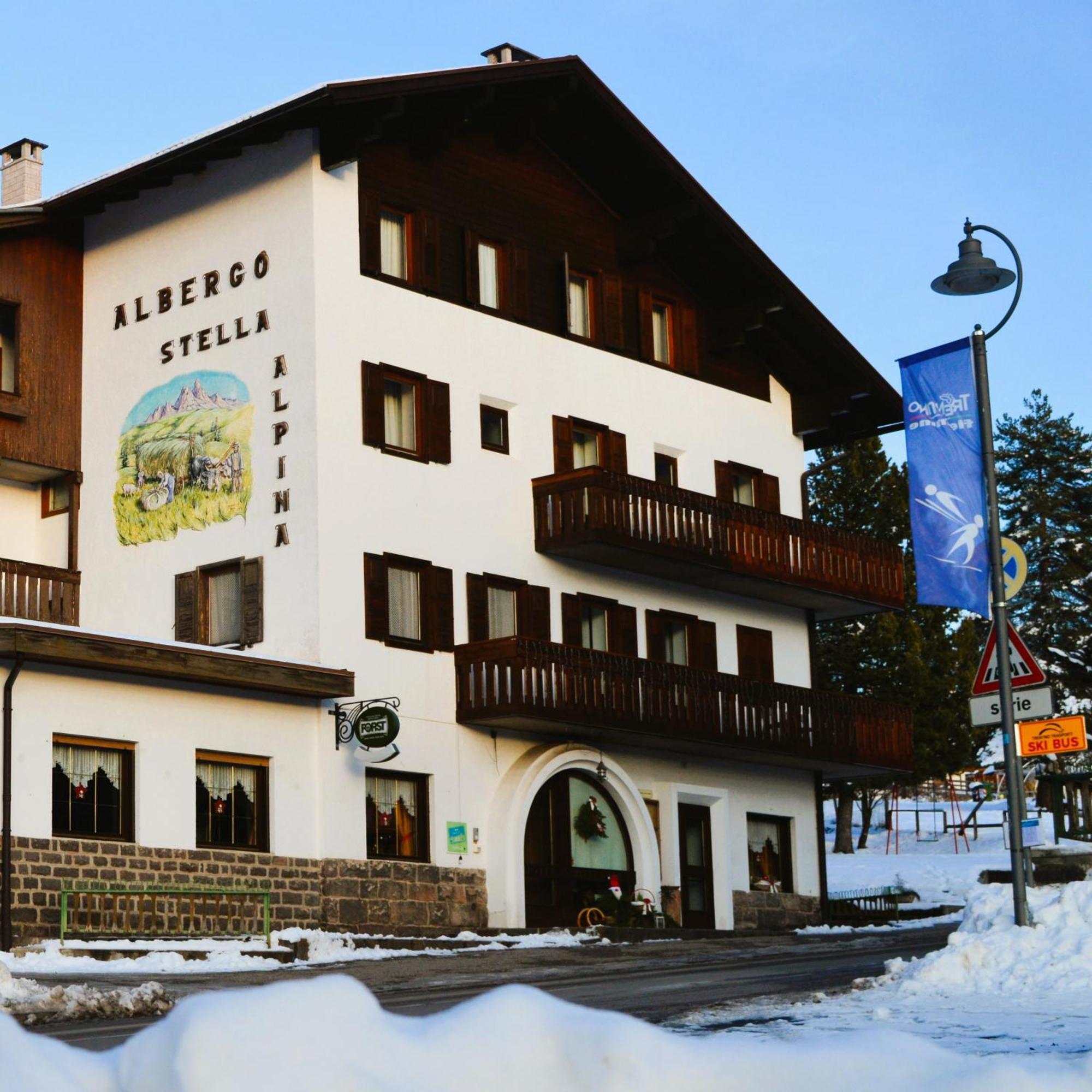Stella Alpina