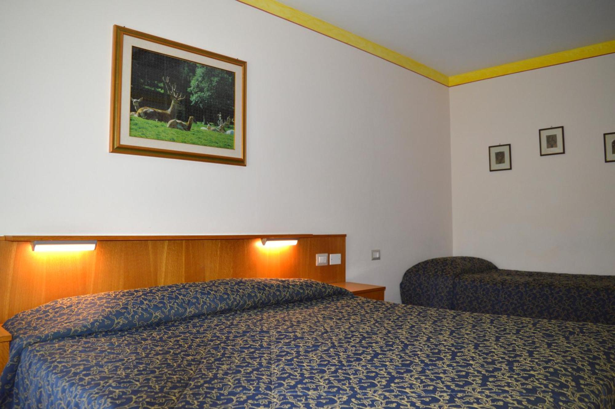 Stella Alpina Hotel