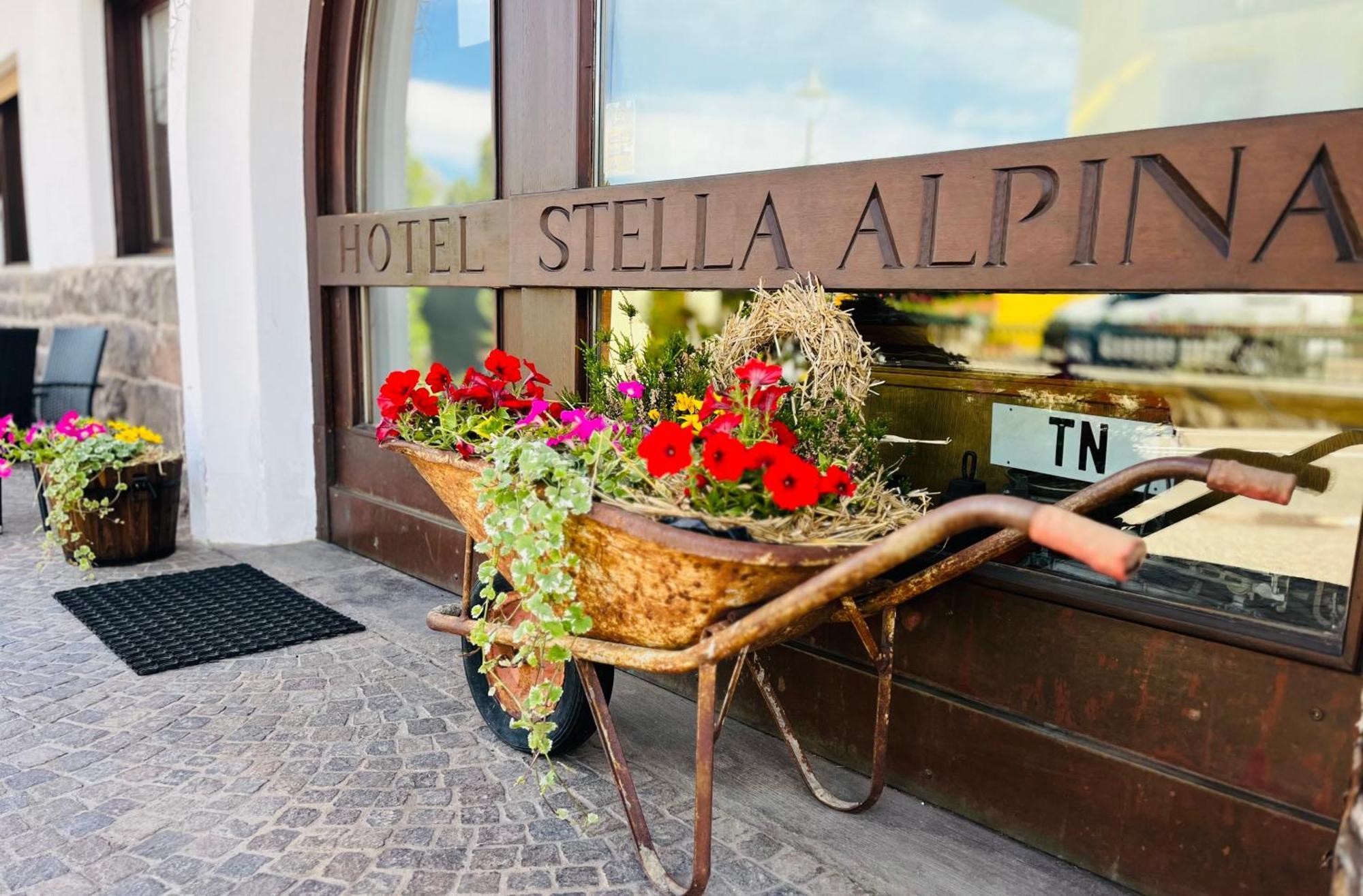 Hotel Stella Alpina Bellamonte